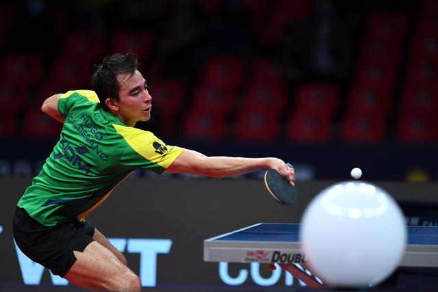 球迷和评论 球迷和评论